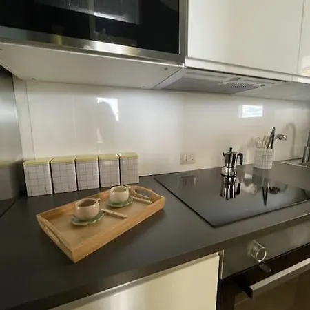 Ultra Stylish Modern Attic Roma